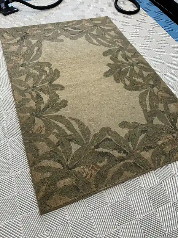 Sage area rug with a palm-leaf border laid flat after cleaning