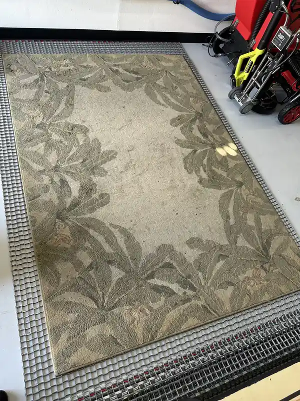 Sage area rug with a palm-leaf border laid flat, dull and dingy across the field