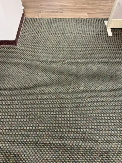 Commercial flecked loop carpet at an office entry after cleaning