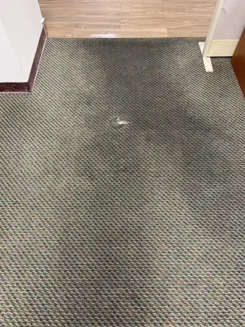 Commercial flecked loop carpet at an office entry with a dark traffic path